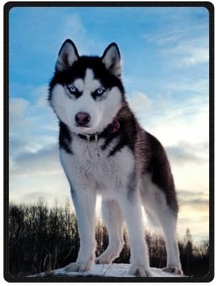 Amazon Com Negro Husky De Blancos Personalizado Huskie Perros Super Suave Y Calida Manta De Forro Polar 58 X 80 Tamano Grande Home Kitchen