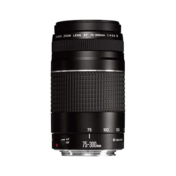 Leichter Telezoom mit USM, EF 75-300 mm f/4-5.6 III Objektiv. – Bild 3