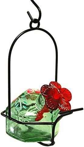 Amazon Com Parasol Green Botanica Lunch Pail Hummingbird Feeder