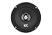 CT Sounds Meso PA 6.5 Inch Pro Audio Midrange Car Speaker 4 Ohm