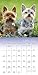 Yorkies 2017 Calendar: Includes Downloadable Wallpaper