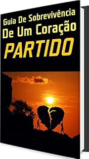 Livro Guia de Sobrevivência de Um Coração Partido