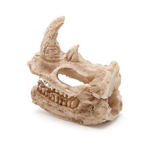 Driak 3pc Resin Rhino Skull Rhino Decor Aquarium Decoration Fish Tank Decorations Reptile Fish Tank Terrarium Decor Reptile Hide Fish Hideout Aquarium Decor