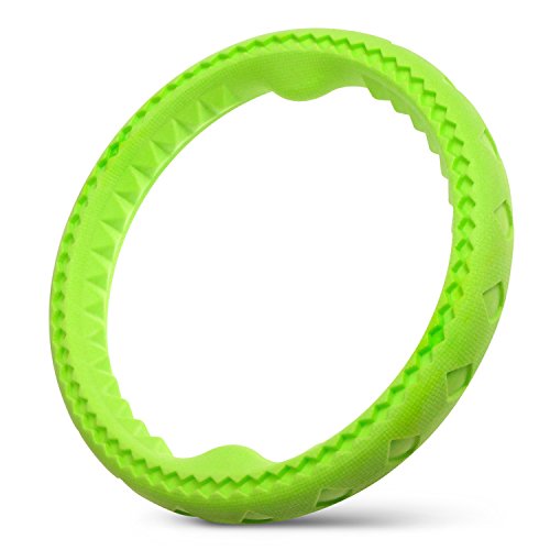 Fluffy Paws 9.7" Soft Durable Rubber Ring Dental Chewing Biting Chasing Training Toy, Green