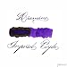 Diamine 30ml Imperial Purple Fountain Pen Ink Bottle