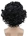 karlery Men's Black Short Fluffy Curly Wig Halloween Cosplay Wig Anime Costume Party Wig