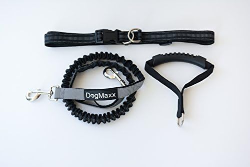 DogMaxx Dual Purpose Dog Leash - Detachable Handle Hands Free Running Walking Hiking, Durable Dual-Handle Bungee Leash, Super Reflective Stitching, 4-Foot Long Adjustable Belt Fits 24" to 48" Waist