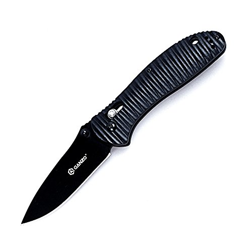 Ganzo G7393P-BK Folding Knife Handle G10 Pattern Blade Black 440C Lock Axis