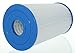 Guardian Filtration Products Spa Filter Cartridge 610-124-01 Replacement for Watkins Hot Springs, Unicel C-6430, Pleatco PWK30, Filbur FC-3915