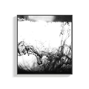 Canvas Wall Art for Living Room, Bedroom Style Framed Canvas Prints for Home Decoration Ready to Hang - 16x16 inches