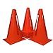 World Sport Set of 15 Collapsible Nine Inch Cones