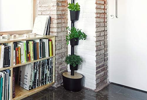 Citysens- Kit Huerto Urbano Vertical con autorriego Inteligente ...