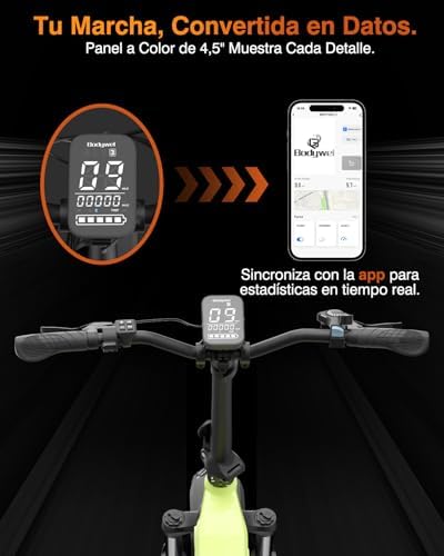 F20Pro Bicicletas Eléctricas Adultos, 20x4” e-Bike Todo Terreno, 250W 48V 20Ah Batería, 7 Velocidades, Suspensión Ajustable, Frenos de Disco Doble- Plegable (Negro)