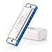 YYLIANG Baby Toys Standard 10 Hole Harmonica - C polyphony Harmonica - Blues Harmonica -With Harmonica case (Blue)