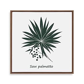 Framed Canvas Wall Art for Living Room, Bedroom Nordic Style Plants Theme Canvas Prints for Home Decoration Ready to Hang - 16x16 inches