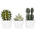 MyGift 4-inch Assorted Artificial Cactus Plants, Mini Fake Desert Plants in White Square Pots, Set of 3