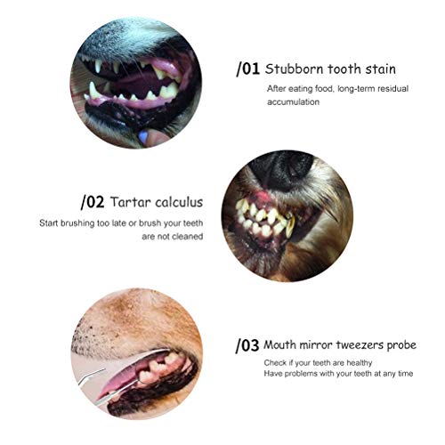 KENANLAN Hond Tand Scaler en Scraper Pet Tarter Remover met verschillende hoeken Dubbele Hoofd Rvs Tanden Reiniging… - Afbeelding 5