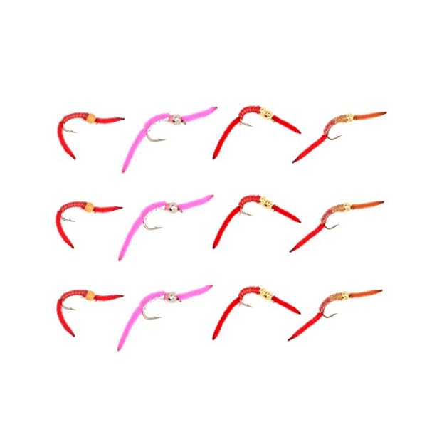 Trout-Fly-Assortment-2-San-Juan-Worm-Power-Bead-1-Dozen-Wet-Nymph-Fly-Fishing-Flies-Collection-12-Flies-4-Hook-Size-10
