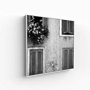 Canvas Wall Art for Living Room, Bedroom Silence Framed Canvas Prints for Home Decoration Ready to Hang - 16x16 inches
