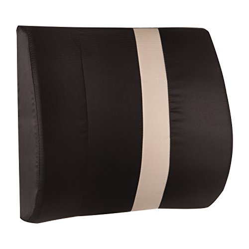 HealthSmart Vivi Relax-A-Bac Premium Lumbar Back Support Cushion Pillow with Insert and Strap, Black/Tan Stripe