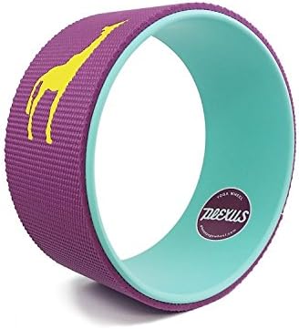 Plexus Yoga Wheel Raspberry Aqua 10" | Relieves Pain and Stress in your Back Hips Chest Shoulders | Great Back Opener | Won't Break Down like Foam Roller or Massage Roller | 5MM Extra Comfort Yoga Mat