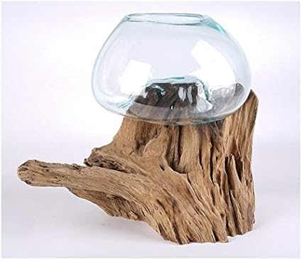 Koh Deco Vase Sur Bois Flotte Alas Amazon Fr Cuisine Maison