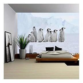 Emperor Penguin Chicks Snow Hill, Antarctica 2010 on The Icebreaker Kapitan Khlebnikov - Removable Wall Mural | Self-Adhesive Large Wallpaper - 66x96 inches