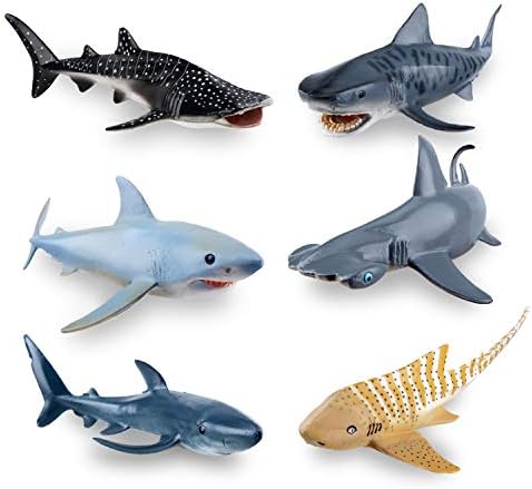 Whale Shark,Tiger Shark 