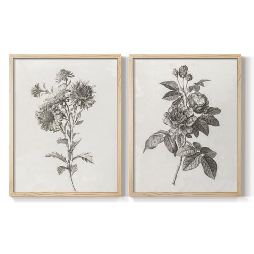 Renditions Gallery Set of 2 Peel & Stick Framed Prints, Abstract Wall Art, Bota…