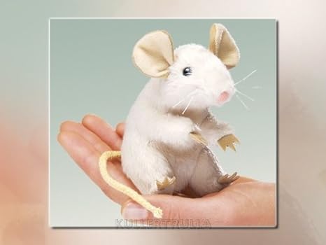 white mouse pet price