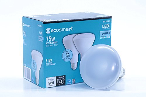 (2-Pack) EcoSmart 75W Replacement (Uses only 13.5W) Daylight (5000K) Medium Base (E26) LED BR30 Energy Star Rated Reflector Bulb for Can Lights