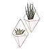 Hanging Vase,LANMU Air Plants Pots,Hanging Wall Decor,Plant Holder,Hanging Plant for Air Plants/Succulents/Cactus Plants/Office Plants/Artificial Plant (2 Pack)
