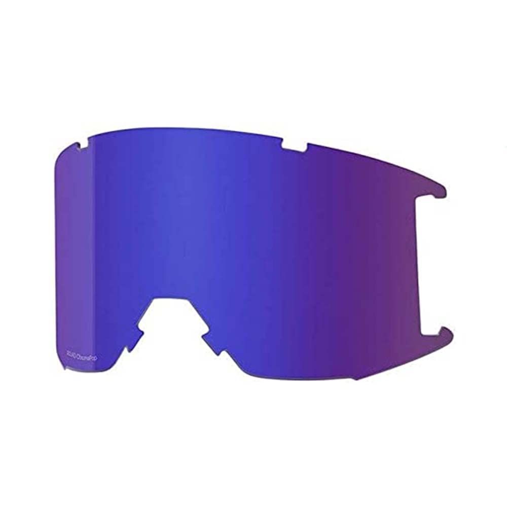 SMITH L Squad MTB Unisex Adult Mask Screen, CP E VLT M, TU