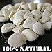 10 Pack Slimming Nuts, Semilla de Brasil 120 Seeds for Weight Loss Original Nut - Indian Seeds