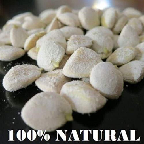 10 Pack Indian Nut 120 Seeds for Weight Loss Original Nut - Indian Seeds