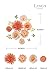 Ling's Moment Paper Flower Decorations(14''-6'' Assorted), Handcrafted 3D Large Crepe Paper Dahlia Rose Peony Set of 7 for Wall Nursery Wedding Backrop Bridal Shower Centerpiece Monogram(Coral Ombre)