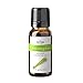 ArOmis Essential Oil Kit - Organic - Pure Therapeutic Grade - Undiluted Premium 150 Micron Filtered for Nebulizer Use (0.34 Fl Oz (Pack of 6), Basic Kit)