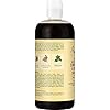 Shea-Moisture-Jamaican-Black-Castor-Oil-Strengthen-and-Restore-Shampoo-473-ml SHEA MOISTURE Jamaican Black Castor Oil Strengthen and Restore Shampoo, 506 ml (Pack of 1)