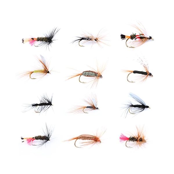 Maxcatch-Dry-Wet-Nymph-Fly-Fishing-Flies-Kit-Assortment-Fly-Fishing-Lure Maxcatch-Dry-Wet-Nymph-Fly-Fishing-Flies-Kit-Assortment-Fly-Fishing-Lure
