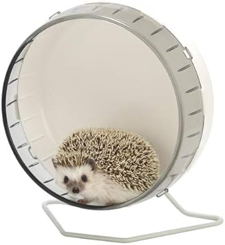 Amazon 三晃商会 デグー シマリス ハリネズミ等の小動物にサイレントホイールフラット25 Sanko 三晃商会 回し車 トンネル 通販