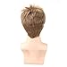 Kalyss Men's Short Straight Brown Wig Heat Resistant Synthetic Hair Wigs with Hair Bangs