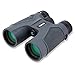 Carson 3D Series 8x42mm Binocular with High Definition Optics (TD-842)