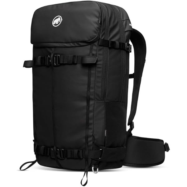 Amazon.com: Dakine Team Poacher Ras 36L - Karl Fostvedt, One Size