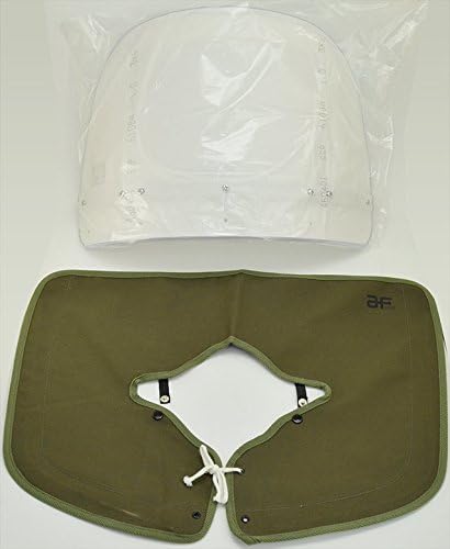Asahi windshield windshield [part number] No99MINI screen | eBay