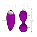 RZWD Mini Vibrating Egg, Waterproof Vibrator - Remote Vibration Massager 10 Vibration, Ladies Vibrator and Rabbit Vibrator (HY2-Purple)