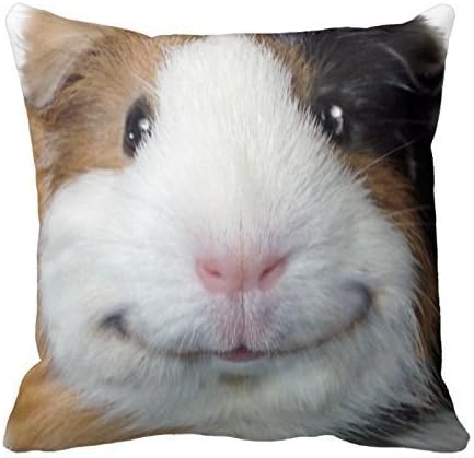 Smiling Guinea Pig Cotton Square Throw Pillow Case Cushion Cover 18 x 18 inches