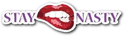 Stay Nasty Die-Cut Sticker NEW, Anti-Trump, Clinton, Obama, Resistance, Drumpf, Feminism