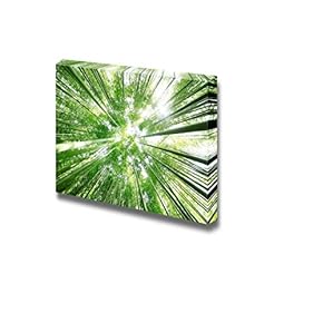 Canvas Prints Wall Art - Bamboo Grove Viewed from Ground | Modern Wall Decor/Home Decoration Stretched Gallery Canvas Wrap Giclee Print. Ready to Hang - 12" x 18"