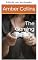 Livro A gata gamer