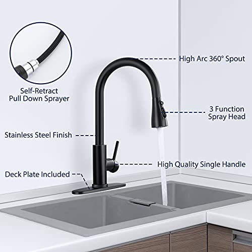 Lonheo Black Kitchen Faucet with Pull Down Sprayer (Sweep /Stream